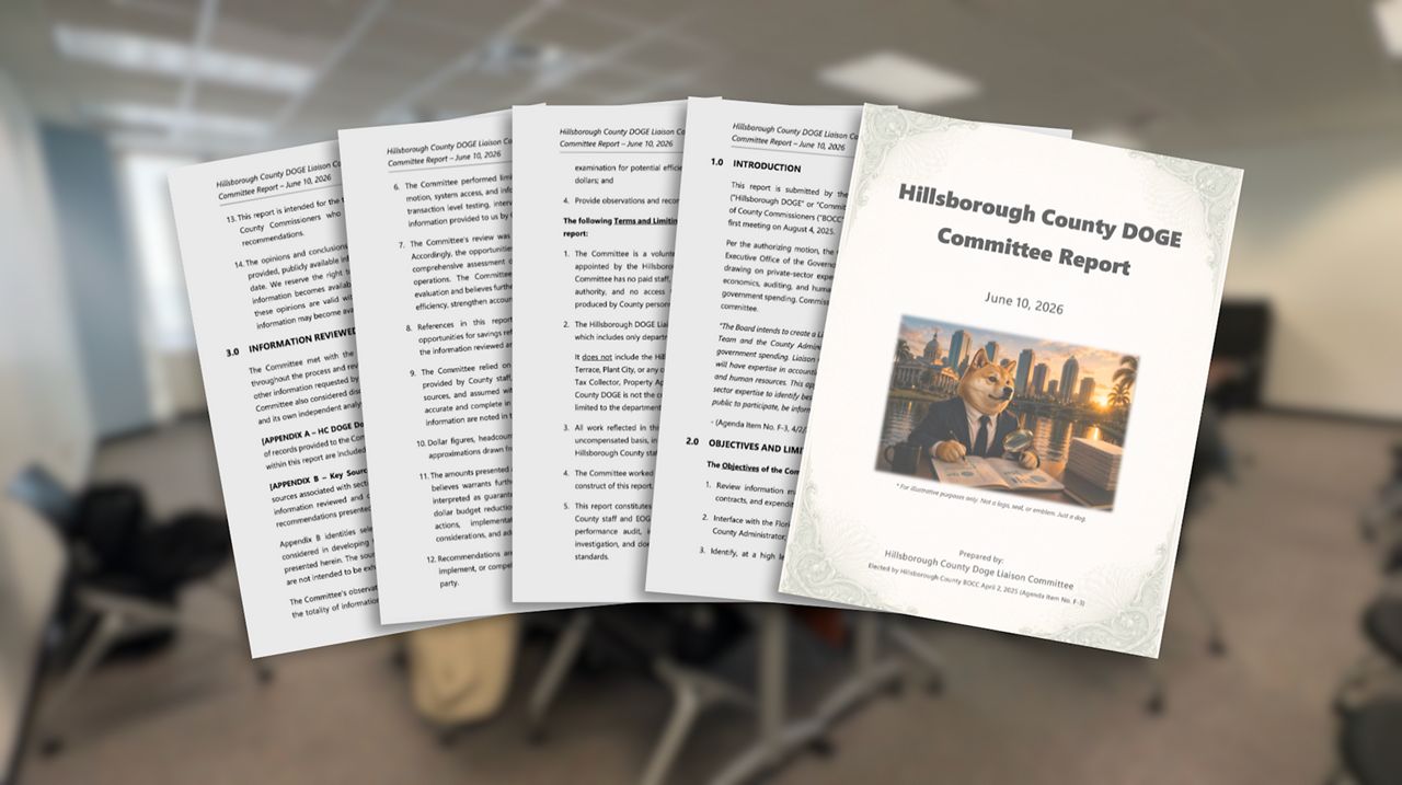 DOGE chairman says Hillsborough County report may be overlooked
