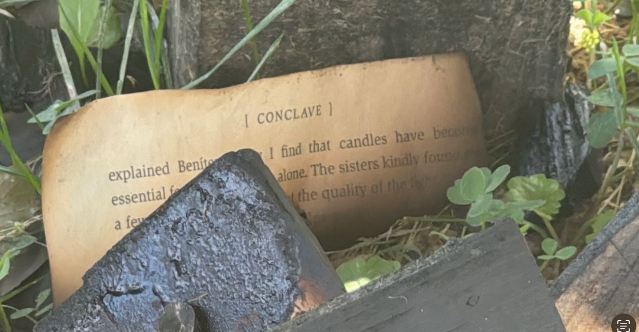 Book box bandits: Little library set on fire in Hilton