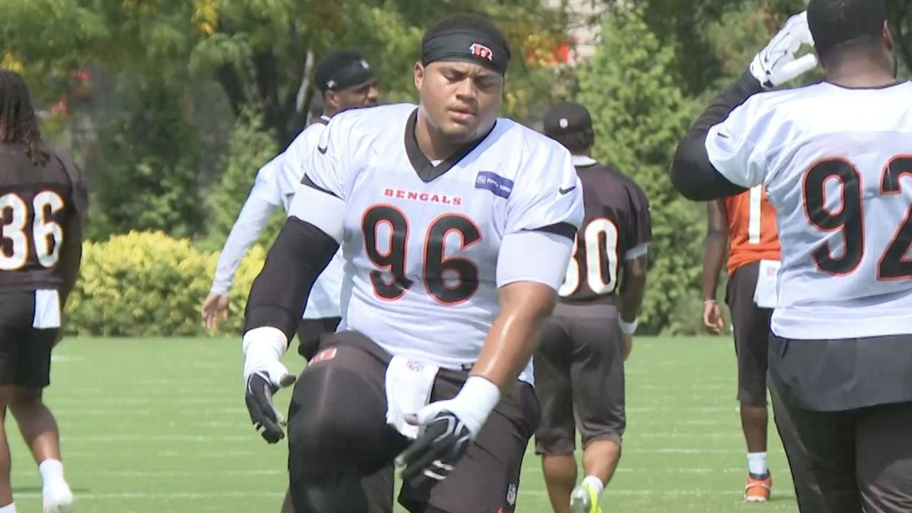 Bengals have super bowl hopes