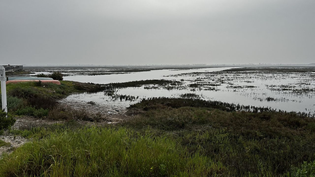Scientists say adding soil has helped wetlands restoration in Seal Beach
