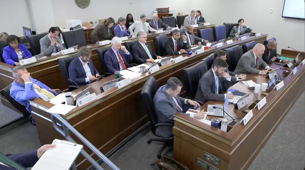 S.C. Elections director appears before Senate committee