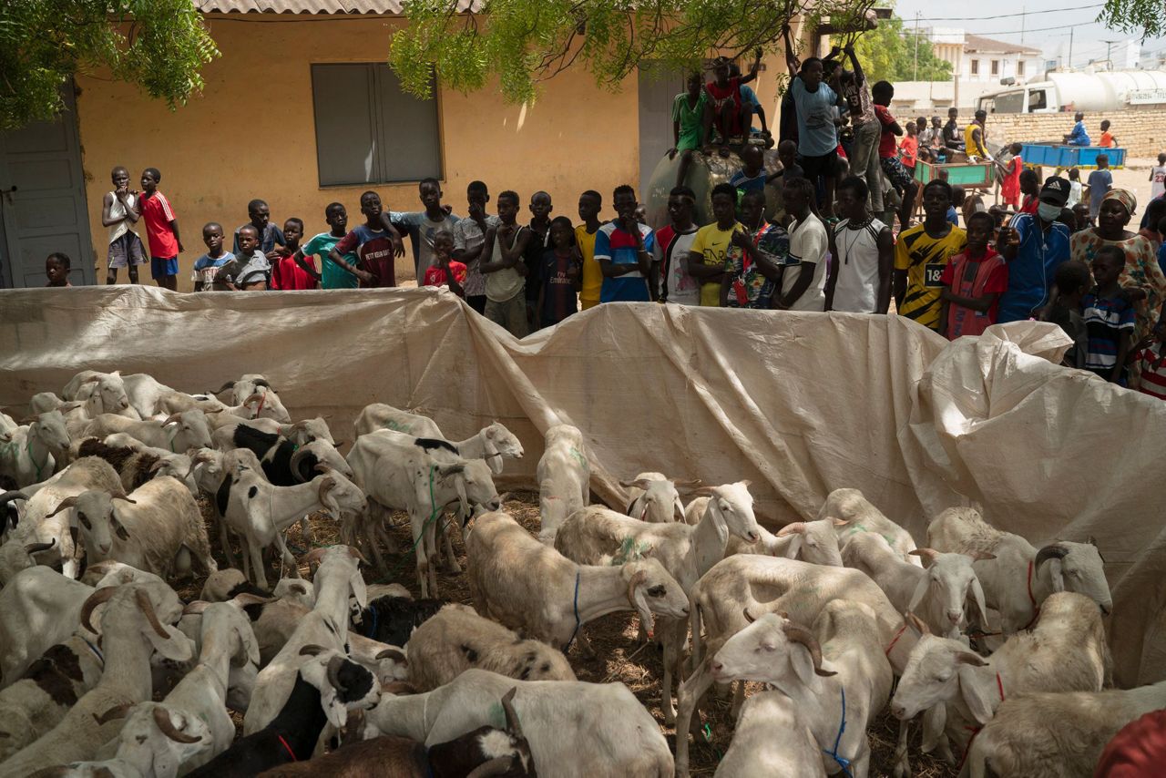 Tabaski Senegal 2024 - Cinda Georgie