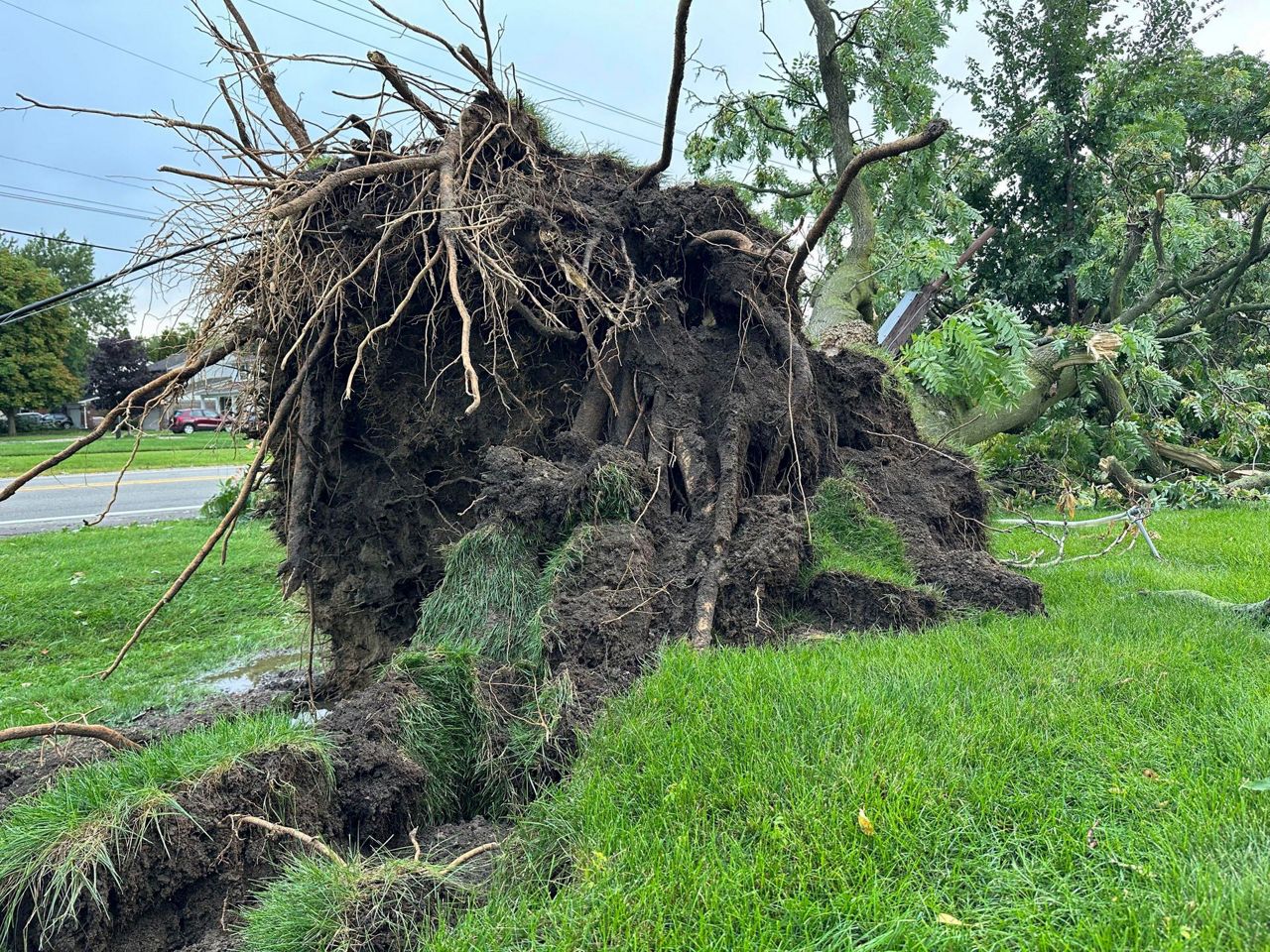 Michigan storms with 75 mph winds down trees and power lines, five ...