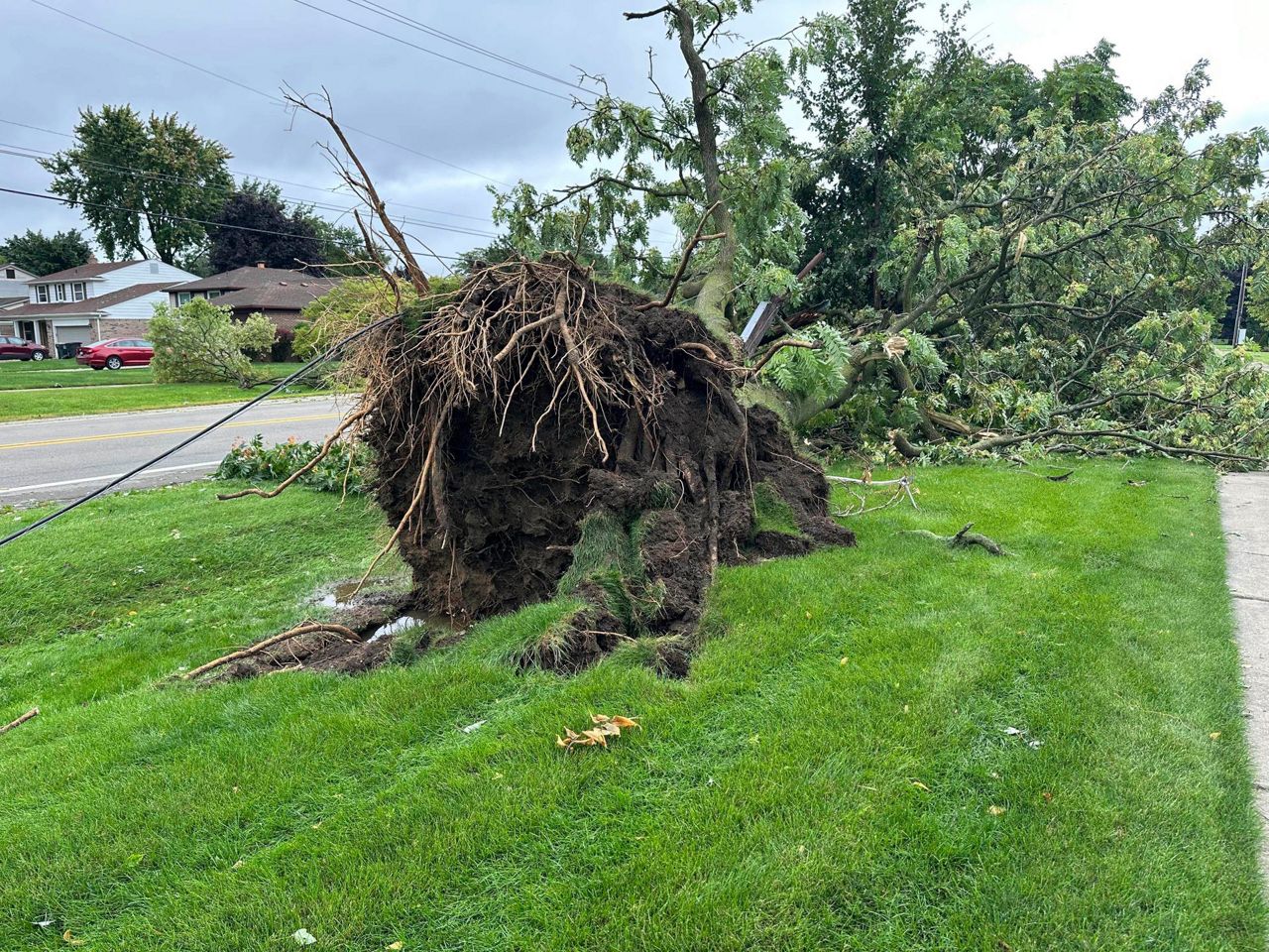 Michigan storms with 75 mph winds down trees and power lines, five ...