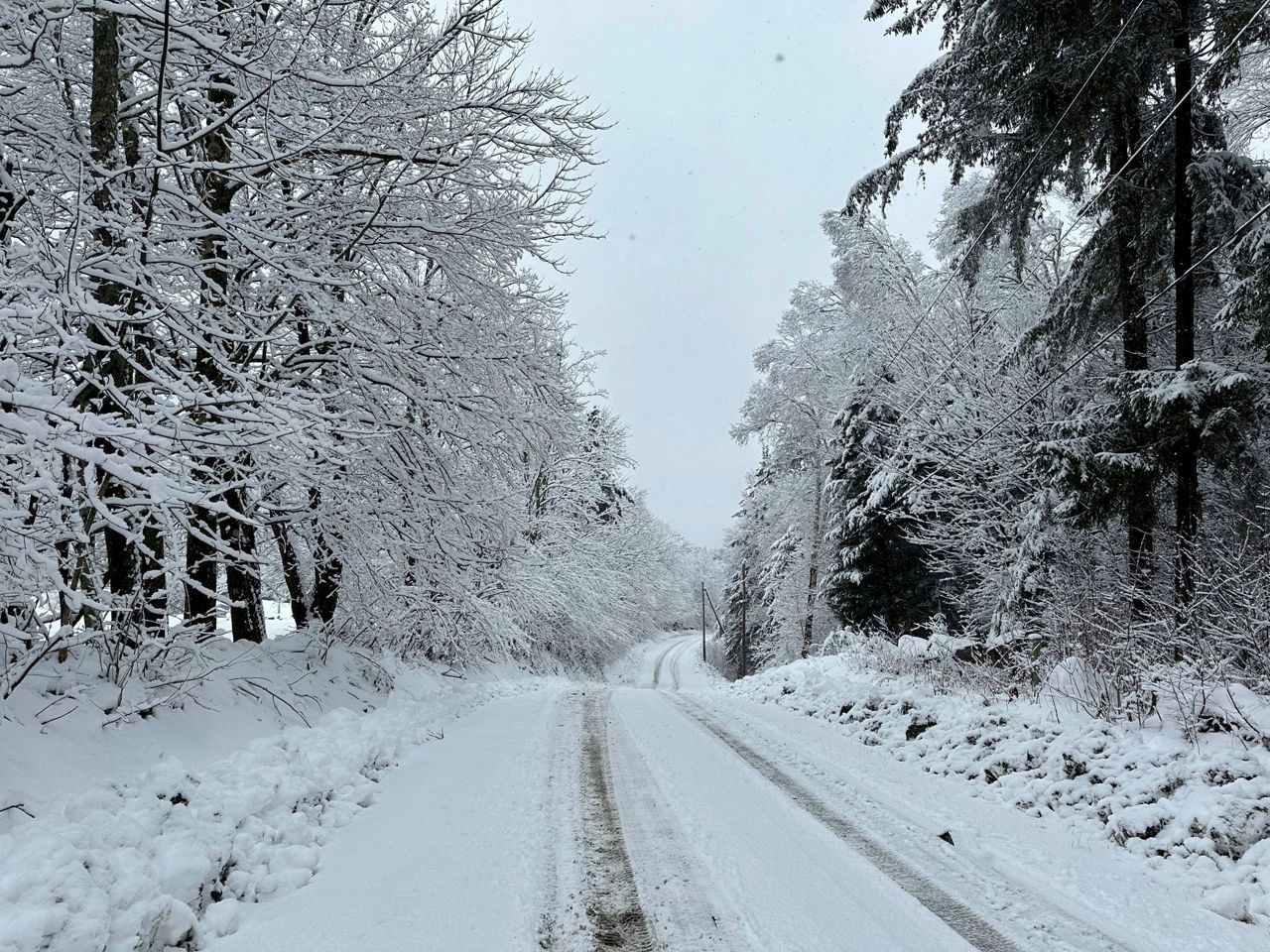 Snowfall, rain, gusty winds hit Northeast as Tennessee recovers from ...