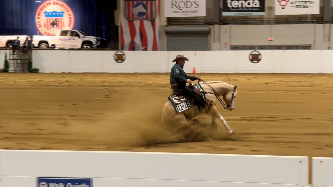 Reigning champion Shawn Flarida shows his horse during the 57th annual All American Quarter Horse Congress. (Spectrum News 1/Aliah Keller)