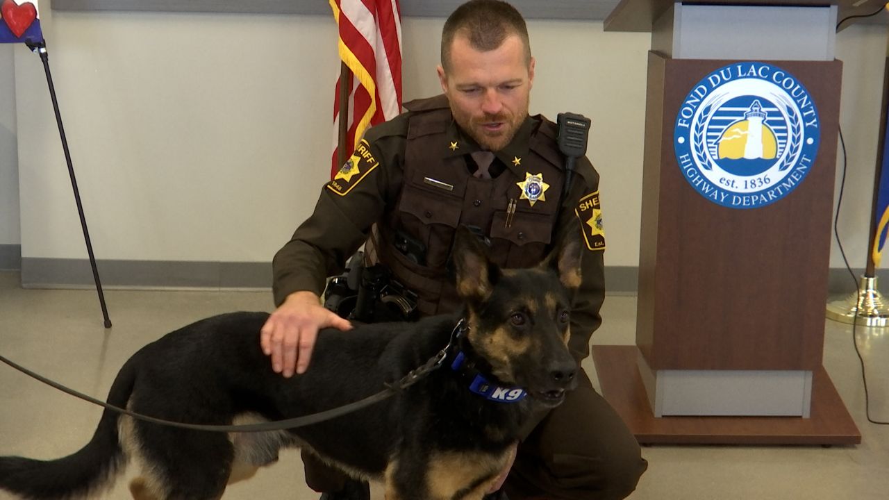 K9 badly injured in shooting expected to return to duty