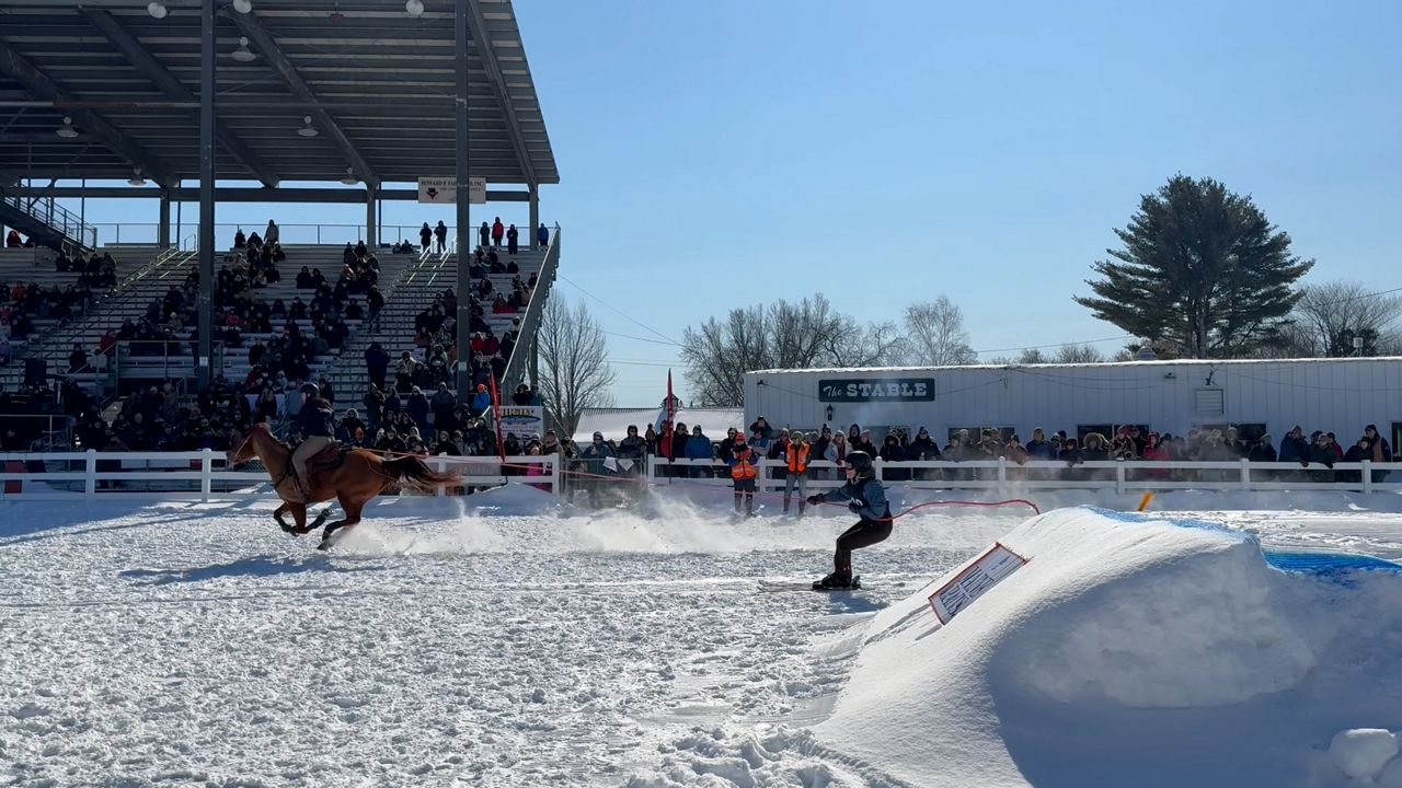 A skier speeds through the Skijor Skowhegan Course. (Spectrum News/David Ledford)
