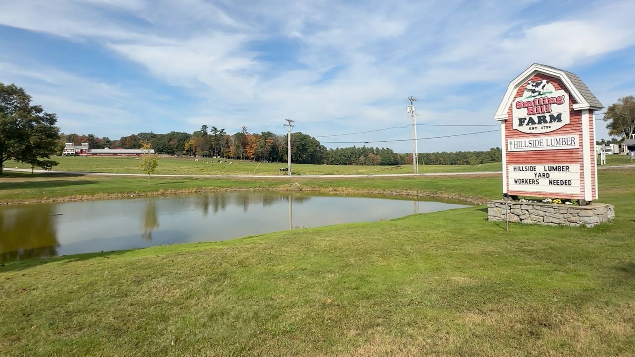 The owners of Smiling Hill Farm in Westbrook have said that the proposed Gorham highway connector would remove more than 45 acres from the popular dairy farm's property. The town of Scarborough was one of four that initially supported the project, but public protests have cause the town council to change its mind. (Spectrum News/Sean Murphy)