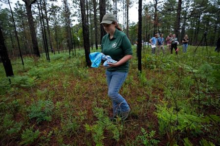 Memphis 'snake factory' transplants slither into their new home in  Louisiana