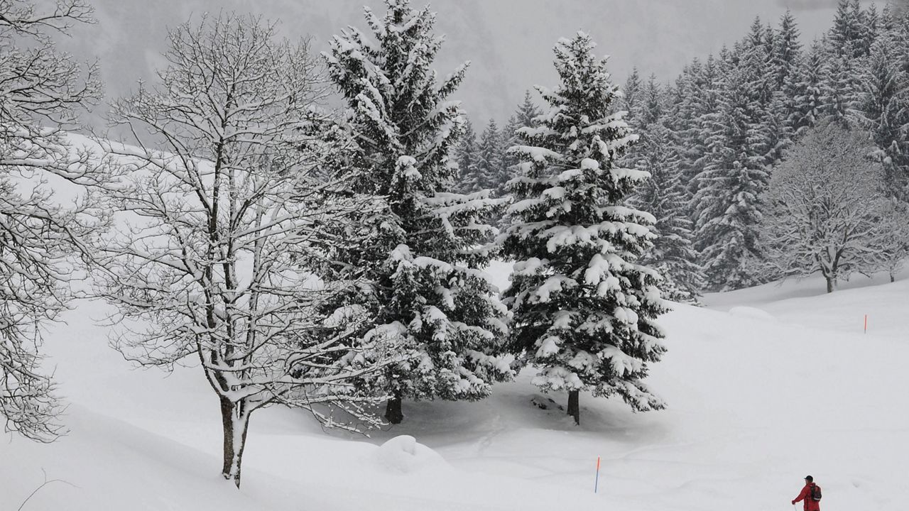 A man skis in a winter landscape near the village Oberstdorf, southern Germany, during winter weather with subzero temperatures on Friday, Feb. 13, 2009. (AP Photo/Christof Stache)