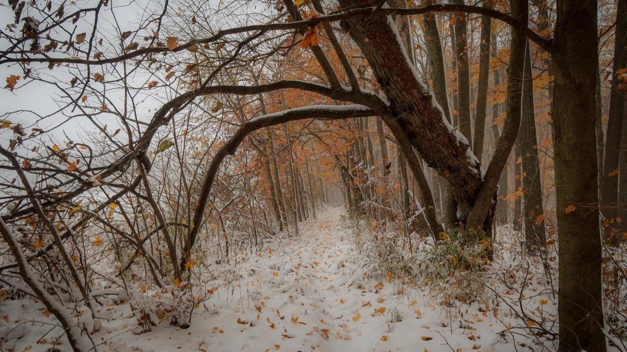 Fall snow