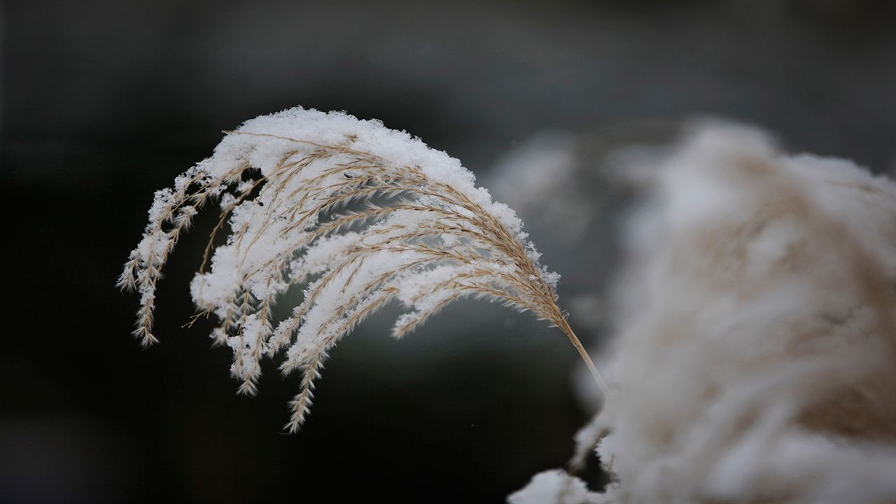 A Spring Snow Vs. A Winter Snow