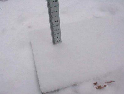 Snow board