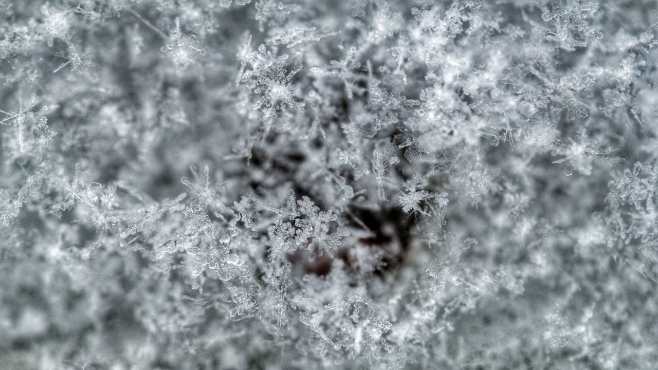 Buffalo's First Flakes Of The Season Were Ahead Of Schedule