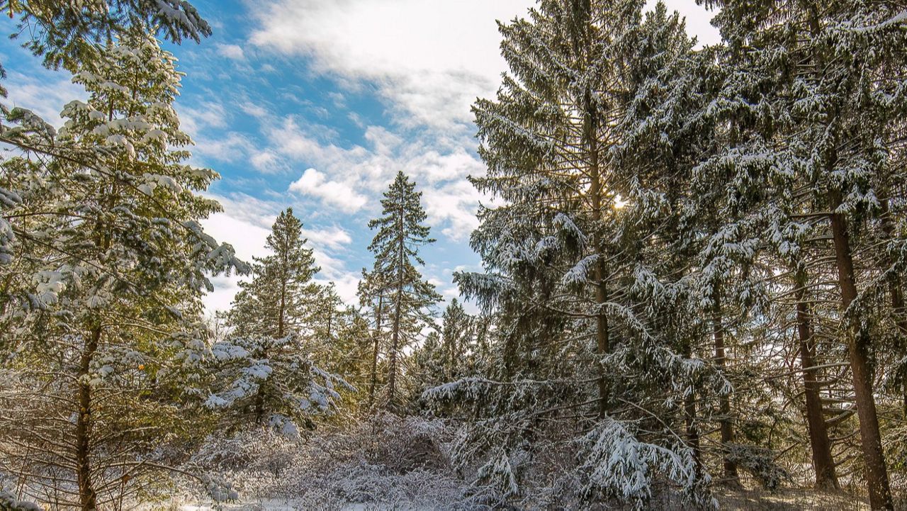 Your guide to outdoor winter activities in Wisconsin
