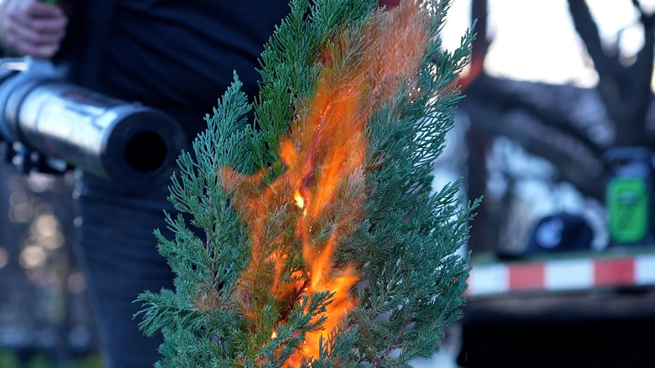 New wildfire tech uses sound to fight flames