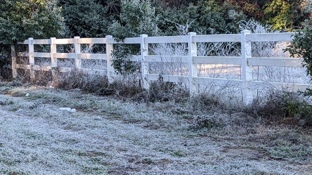 Frost covers fences and fields in Sorrento, Fla. on Jan. 24, 2022 (Haley Rickets)