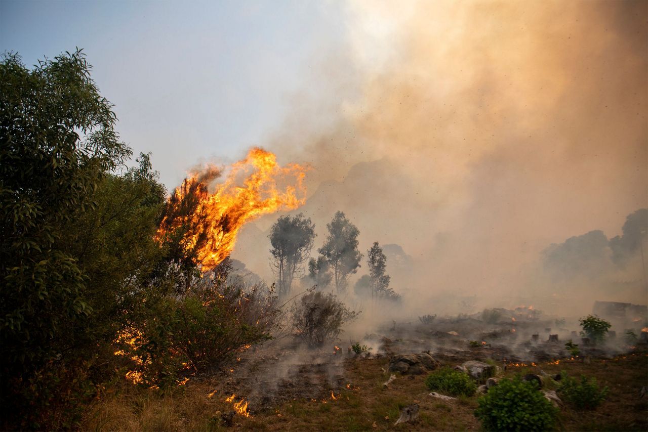 Cape Town wildfire forces evacuation of university students