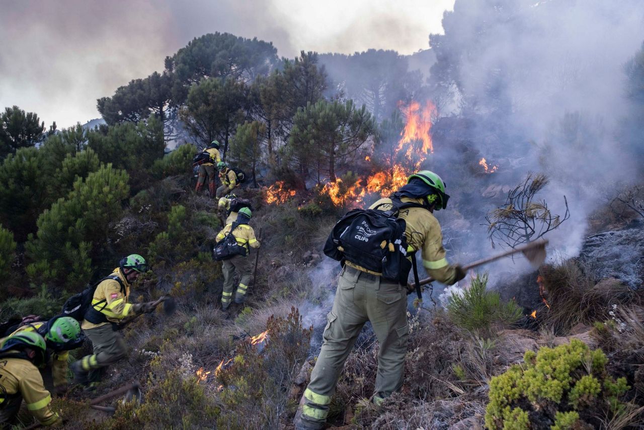 Forest fire mk ii. Пожары в Испании. Пожарные Испании. Пожары в Испании картинки. Пожары в Испании 2021.