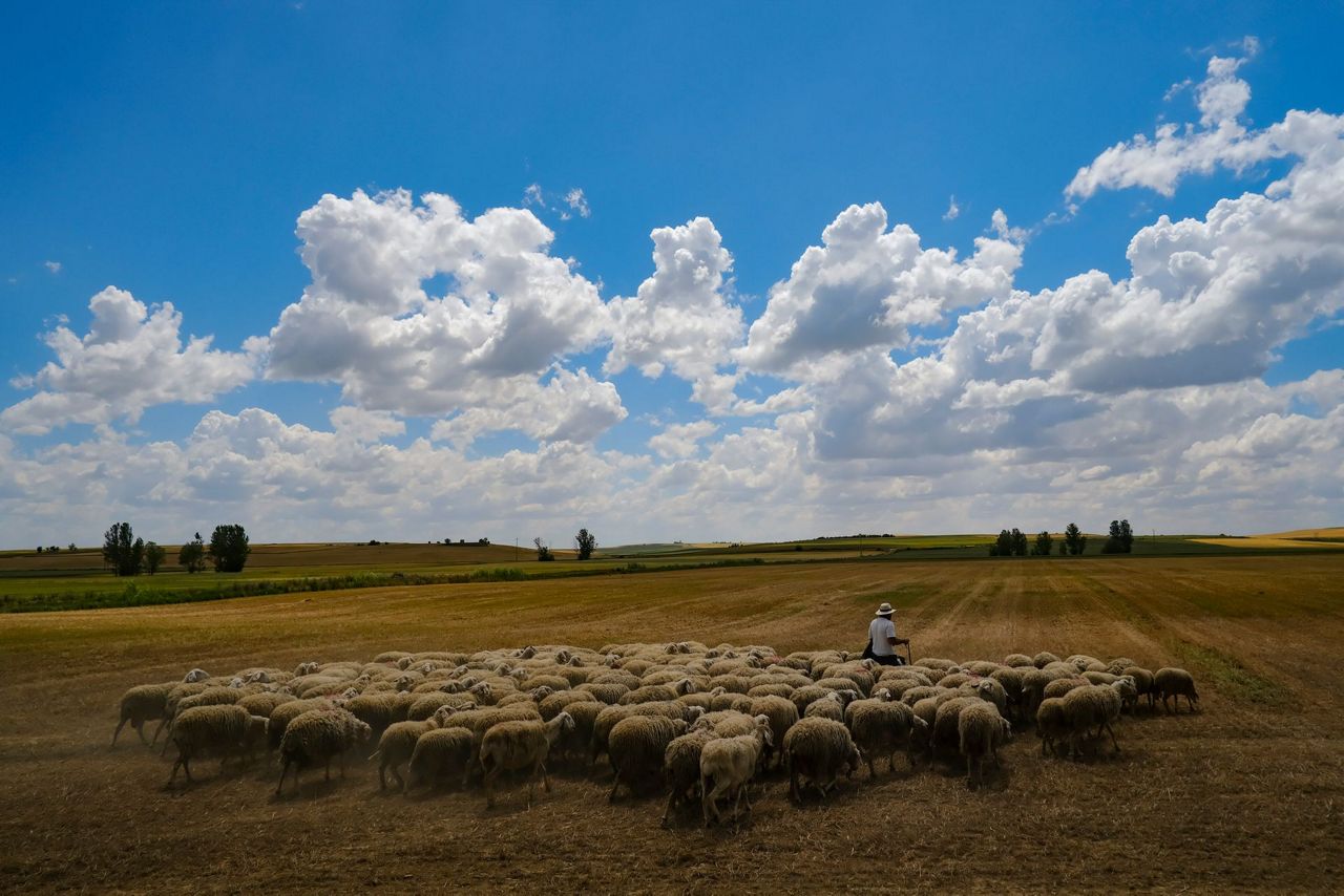 Camino pilgrims help rural Spain’s emptying villages survive