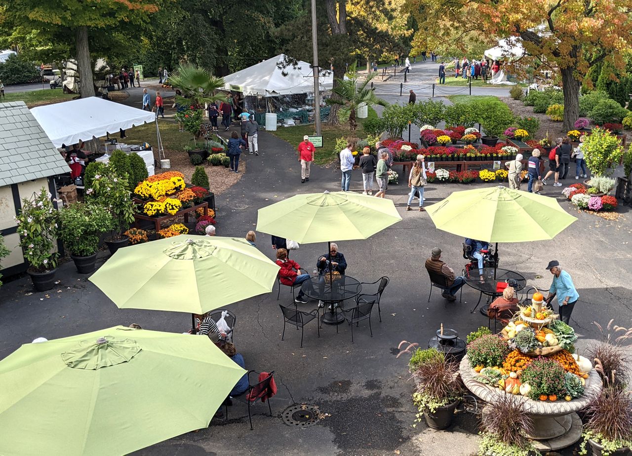 a food courtyard with umbrellas