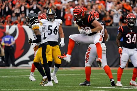 Cincinnati Bengals running back Samaje Perine (34) celebrates