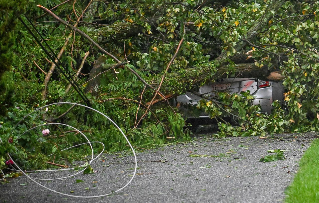 A car is covered by a fallen tree in Dale Rogoff Greer's driveway after several trees fell, taking out the power lines and her daughter's car along Gittings Avenue in Towson, Md., Monday, Aug. 7, 2023. evening. (Jerry Jackson/The Baltimore Sun via AP)