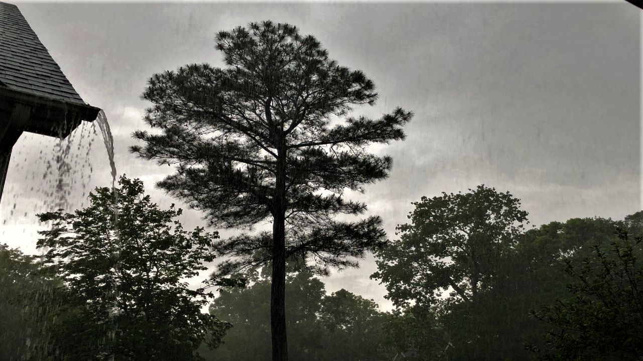 Isaias to bring rain to North Carolina this weekend