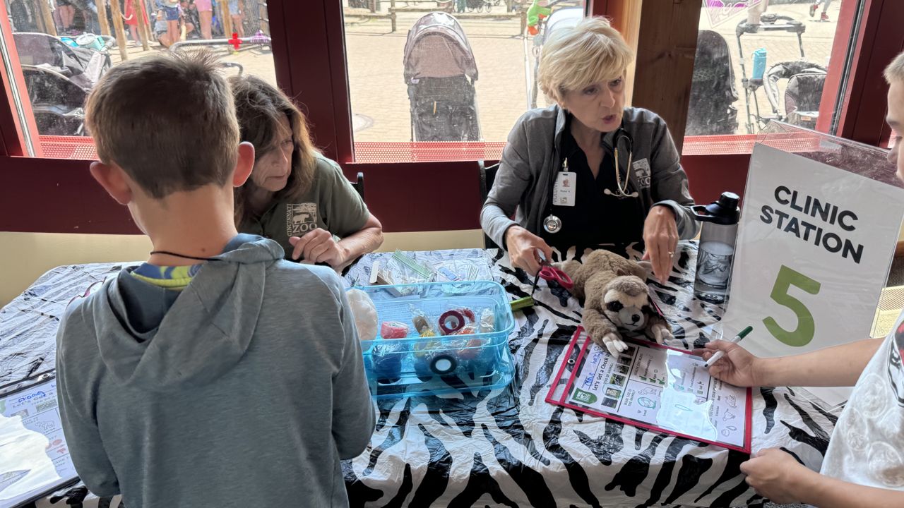The zoo first hosted the Stuffed Animal Clinic in 2024.