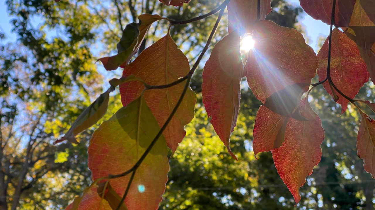 How Dutchess County fall tourism has been so far this year