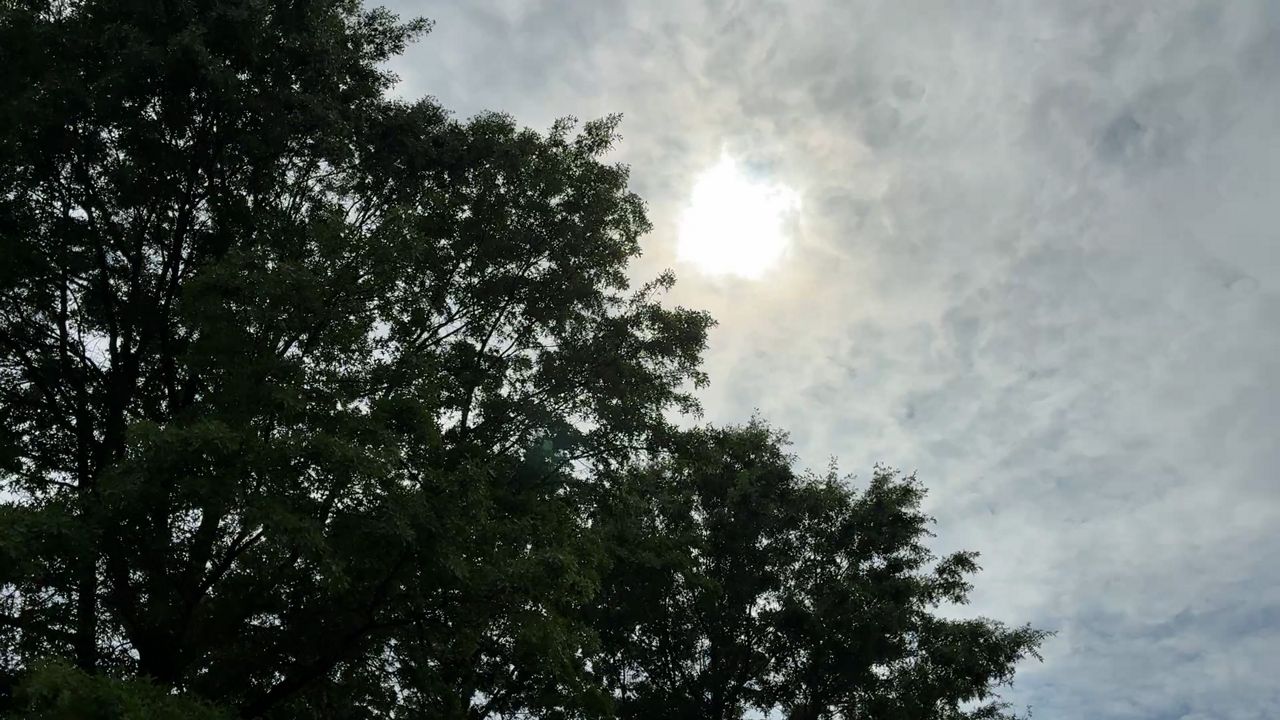 Worcester weather