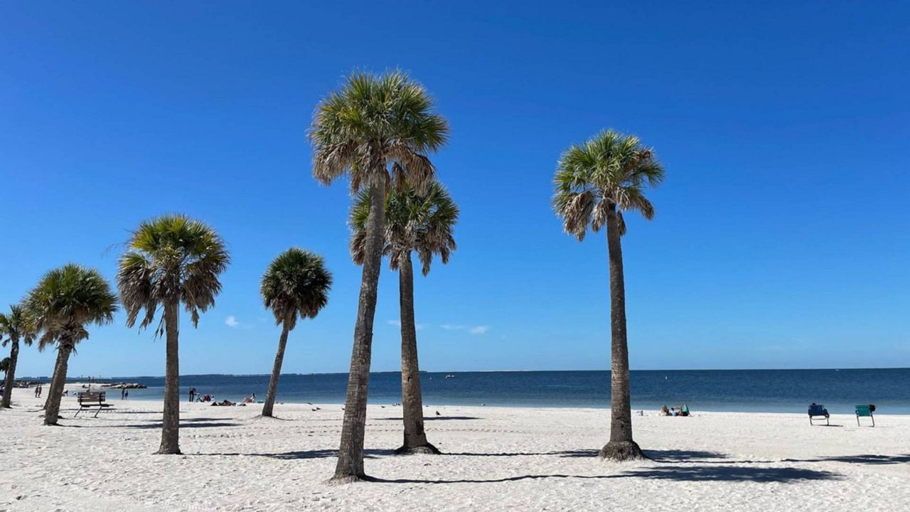 Fred Howard Park (Photo: Moorea Linker)