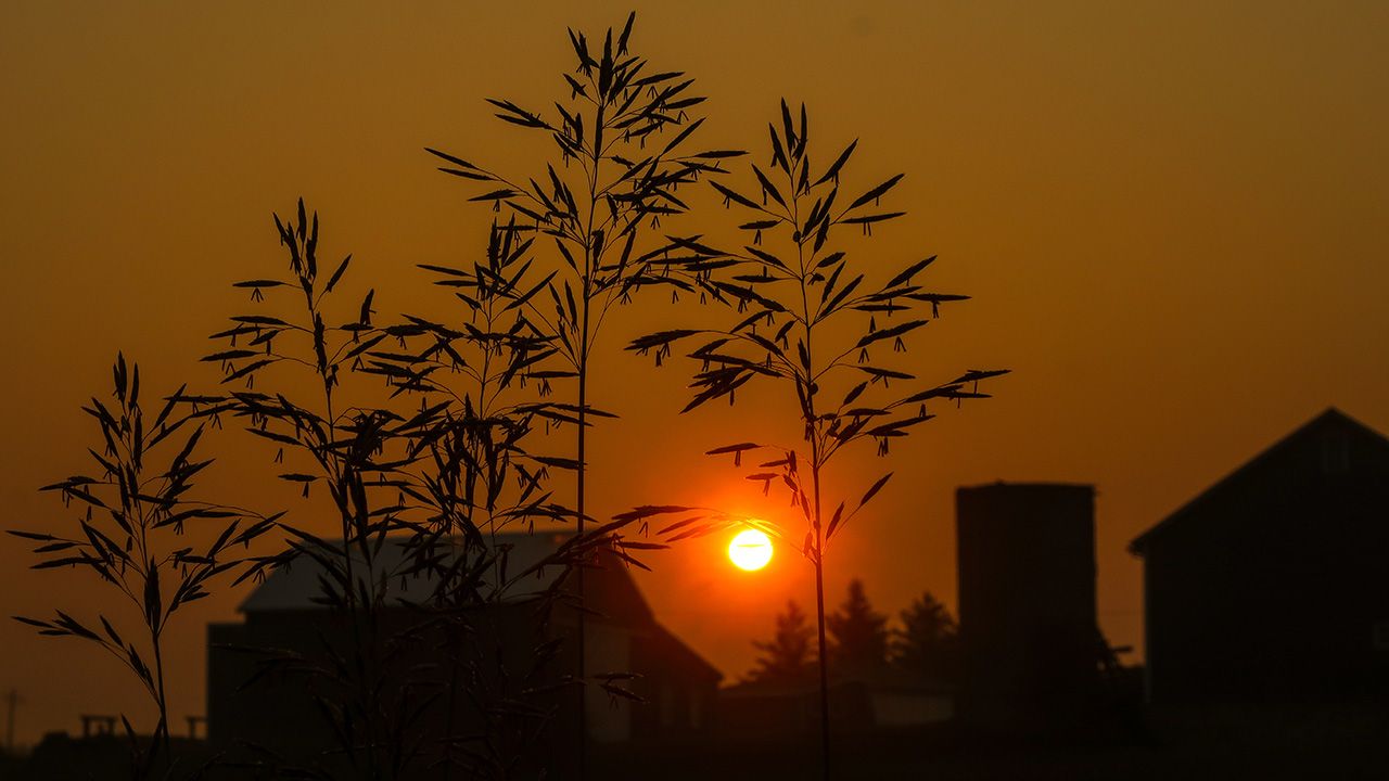 hazy sun