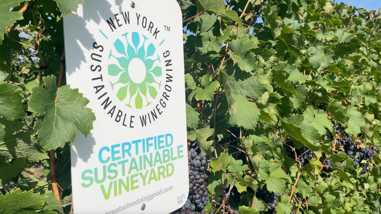 N.Y. vineyards participating in new Sustainable Winegrowing Trustmark program