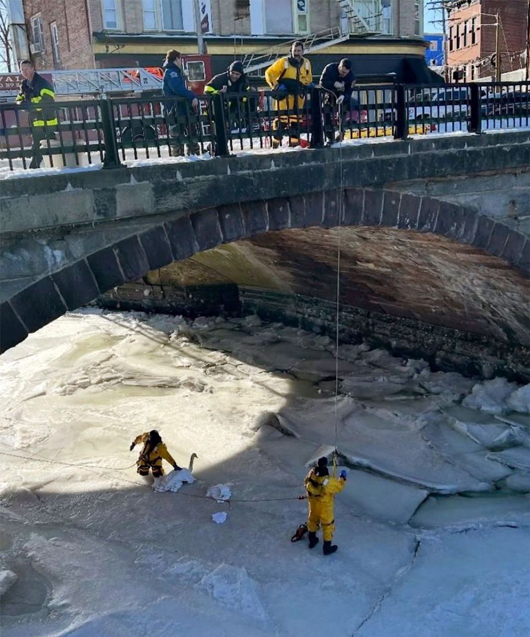 Firefighters rescue swan stuck in frozen Connecticut river