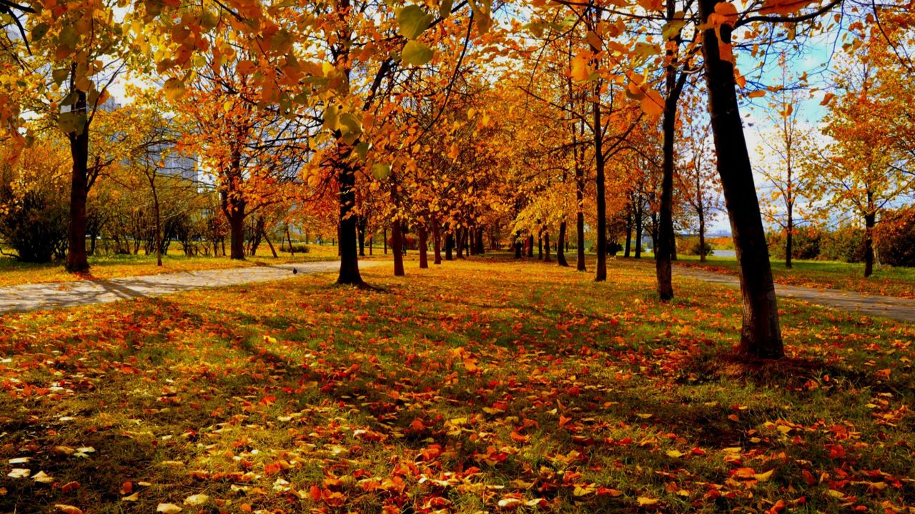 Wisconsin Weather Blog