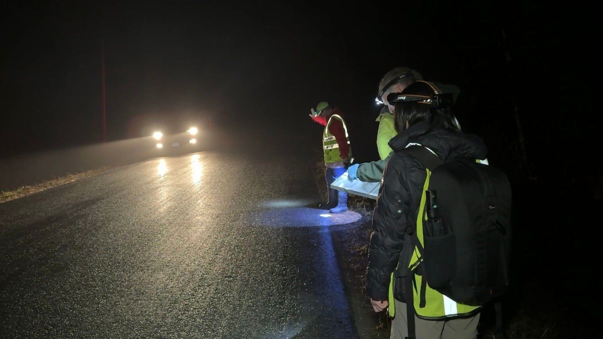 TCAMP volunteers wait patiently for a car to pass. (Spectrum News/Natalie Mooney)