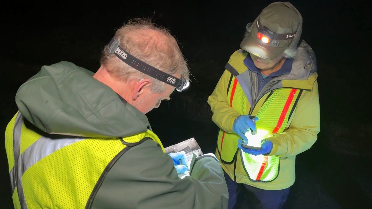 TCAMP volunteers collect data to further conservation efforts. (Spectrum News/Natalie Mooney)
