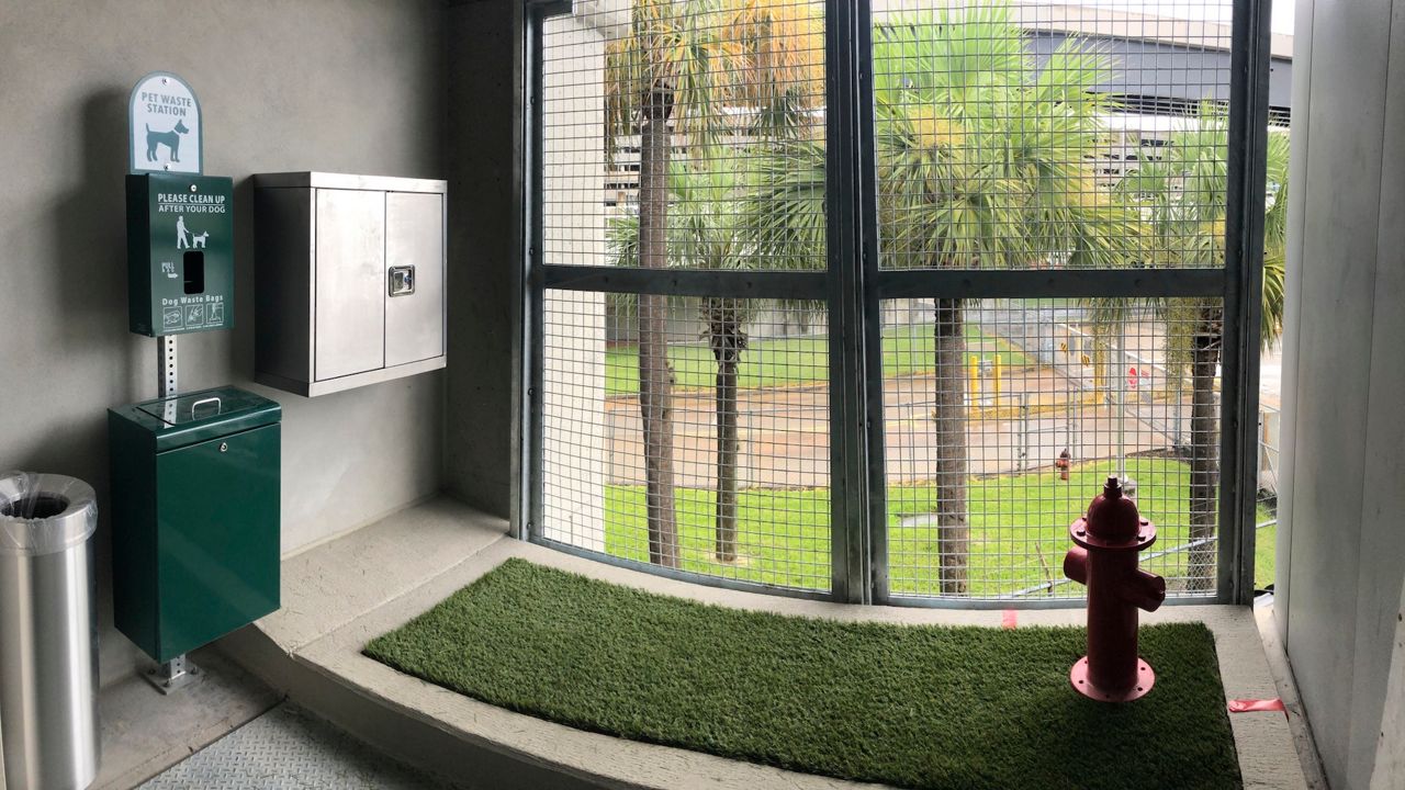 Do Airports Have Places For Dogs