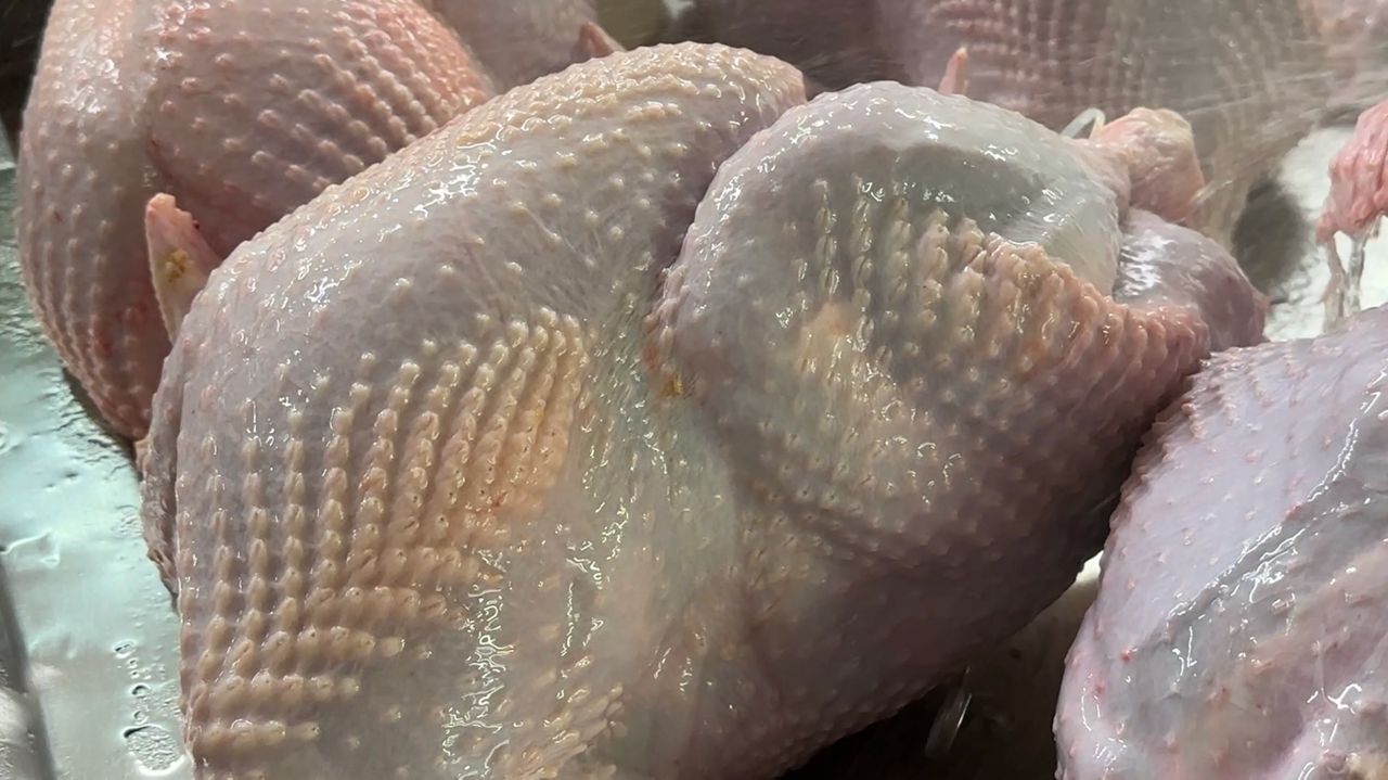 Turkey farms working to provide Thanksgiving staple