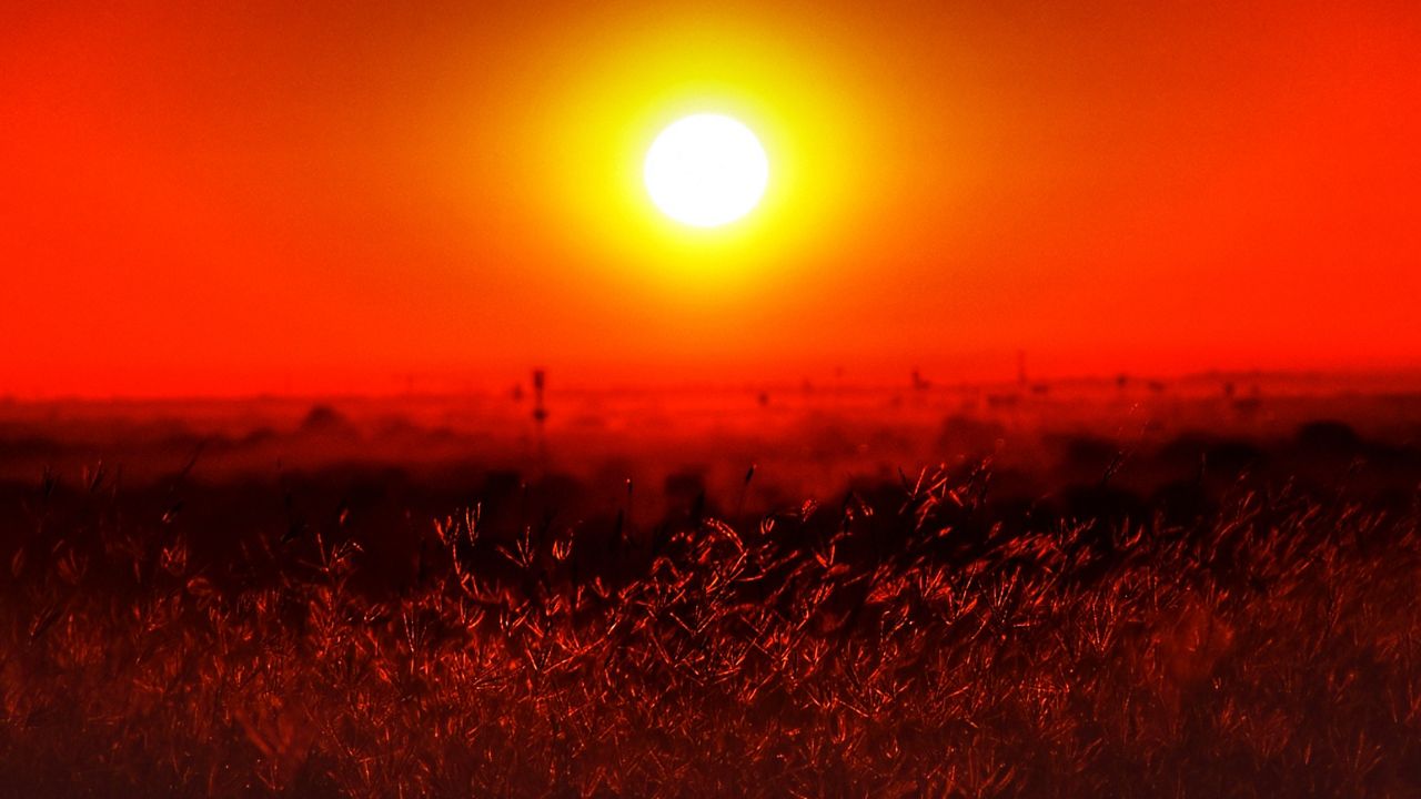 Summer and Saharan dust in Texas