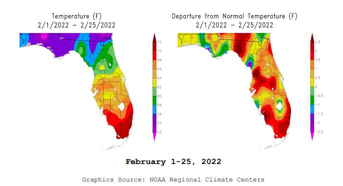 Meteorological winter finishes warmer and drier than average