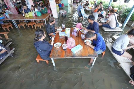 A flooded restaurant in Thailand brings delight with swimming fish among  diners