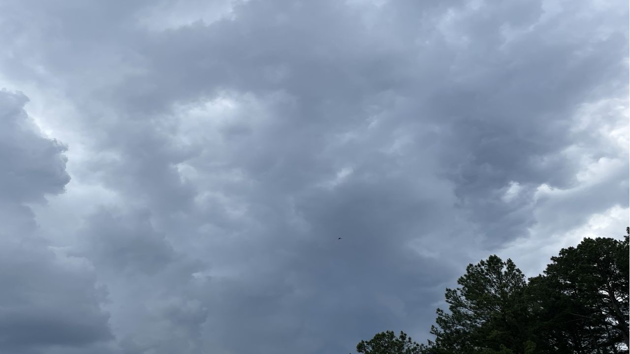 STL weather