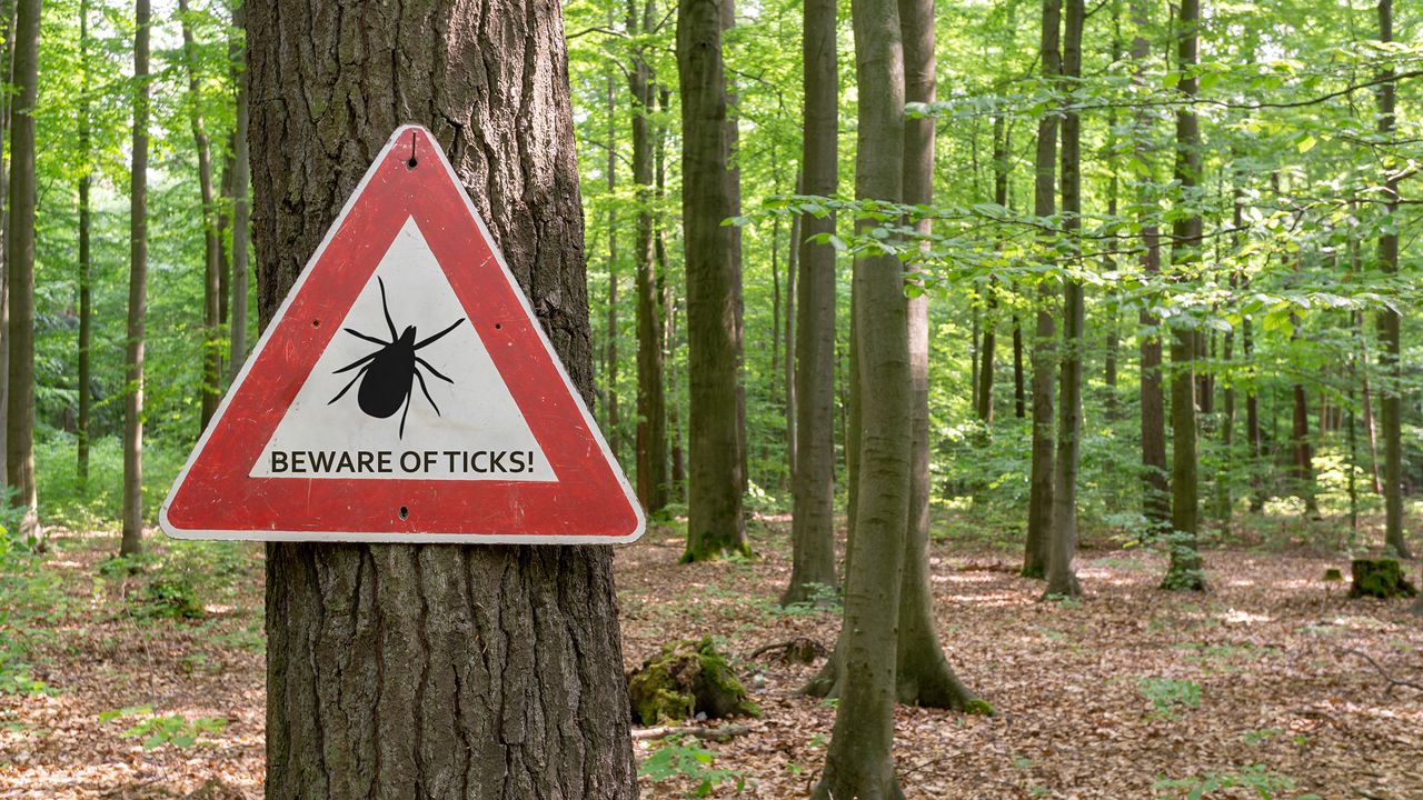 Ohio University hosts workshop on tick-borne diseases