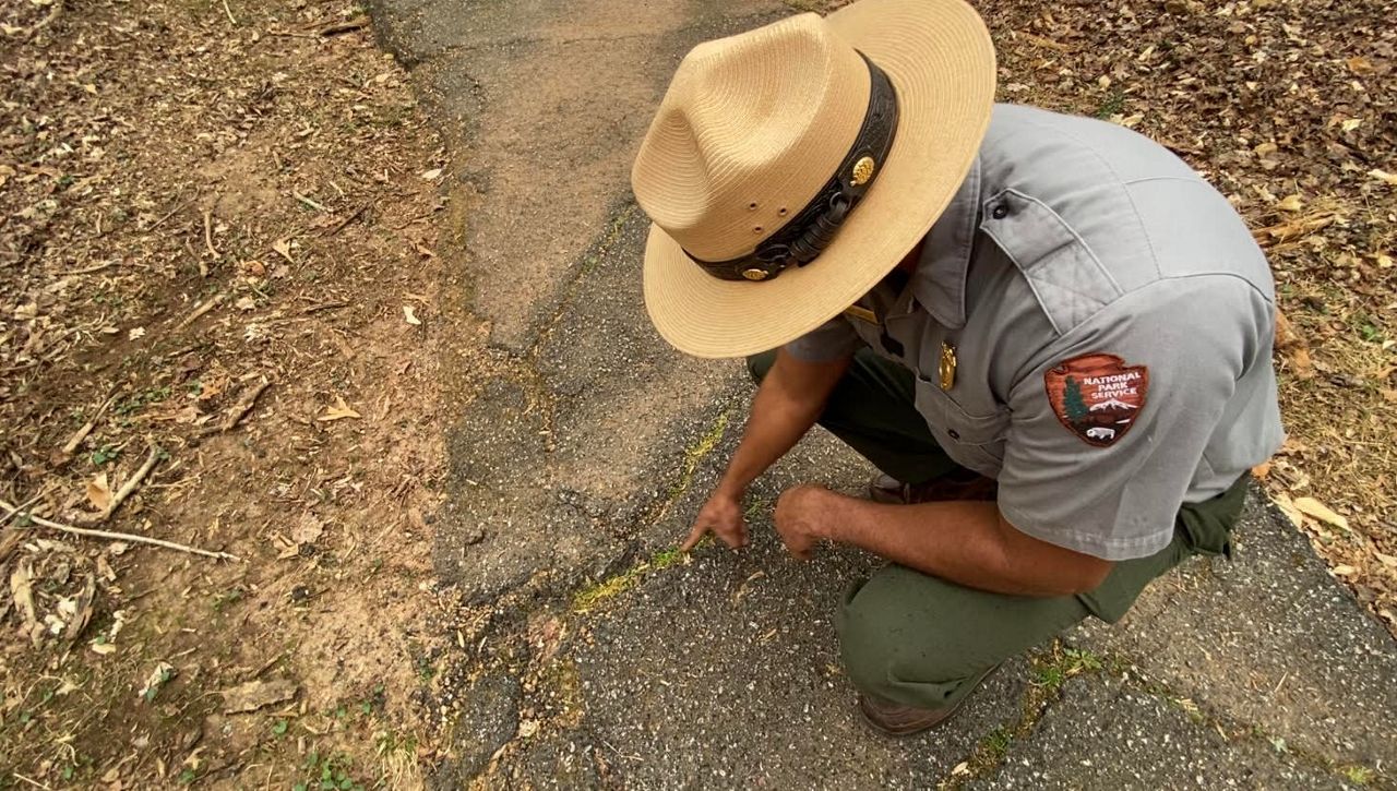 Guilford Courthouse National Military Park superintendent Aaron LaRocca points out problems with one of the park's trails. (Spectrum News 1/Zyneria Byrd)
