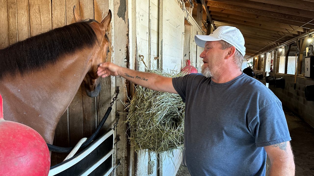 Former pro wrestler finds new passion training horses