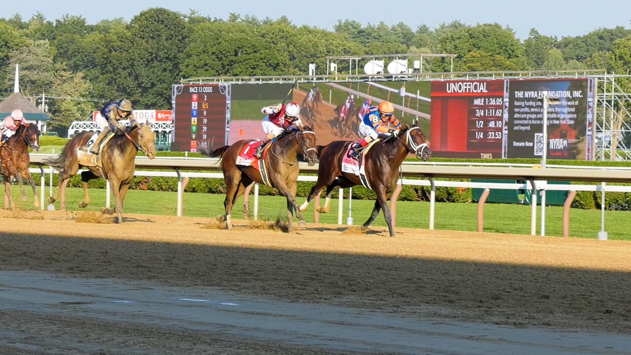horses run down the main stretch at saratoga race course