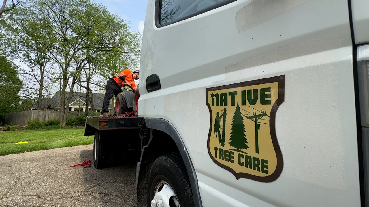 Native Tree Care will soon be able to expand its business (Spectrum News 1/Katie Kapusta)